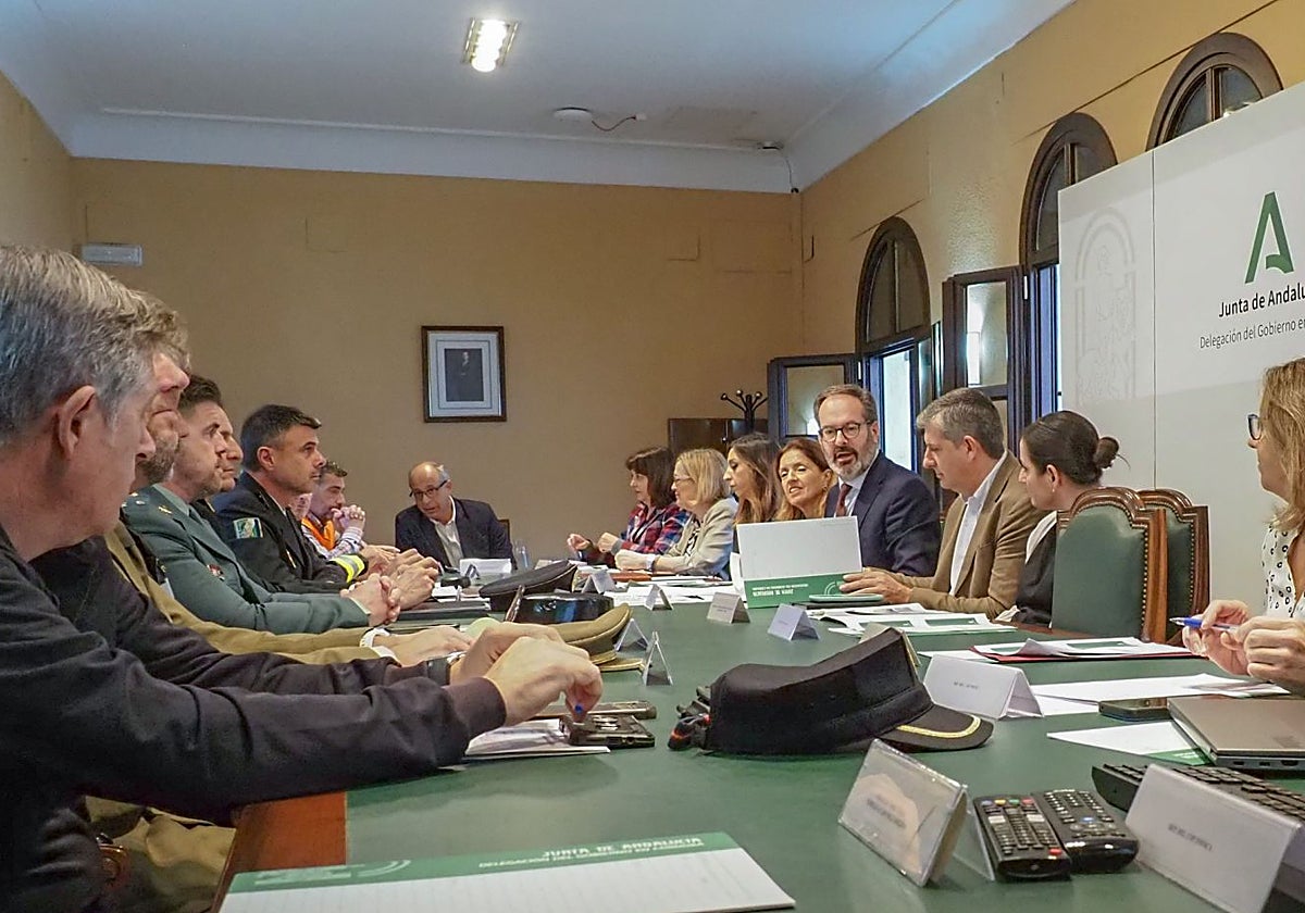 Reunión del Plan Infoca, presidida por el delegado de la Junta, Adolfo Molina