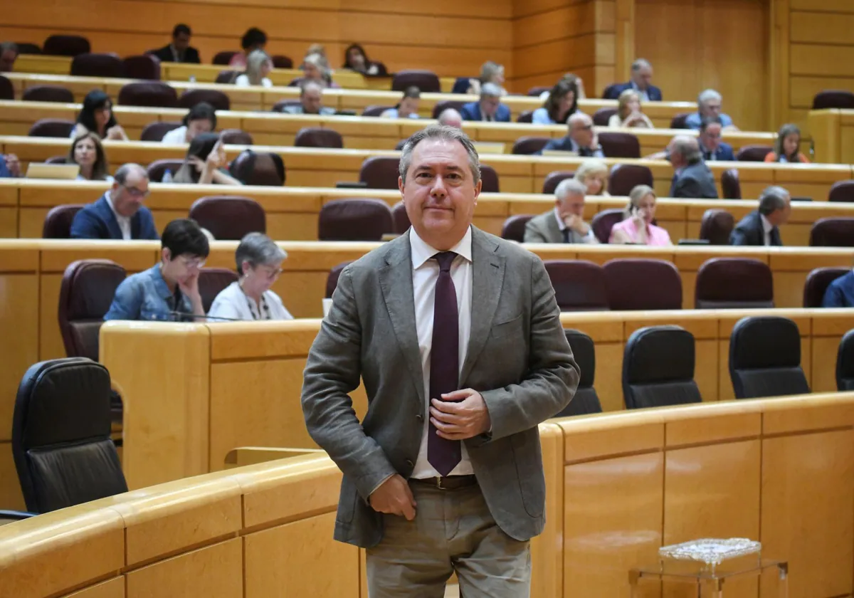 El portavoz del PSOE en el Senado, Juan Espadas