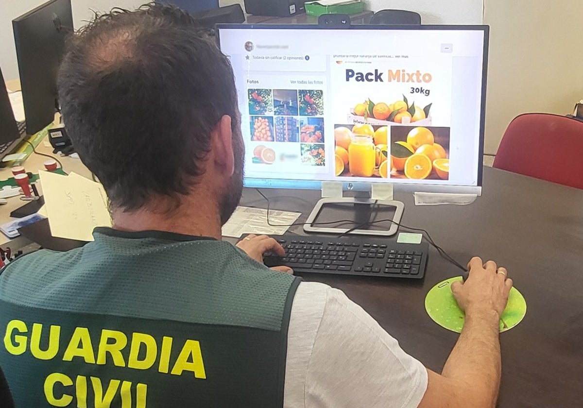 Imagen de un agente de la Guardia Civil que investiga estafas agrícolas en Alicante