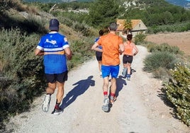 Vecinos recurren al Supremo contra el Gobierno por autorizar una macroplanta solar en un valle de bosques en Alicante