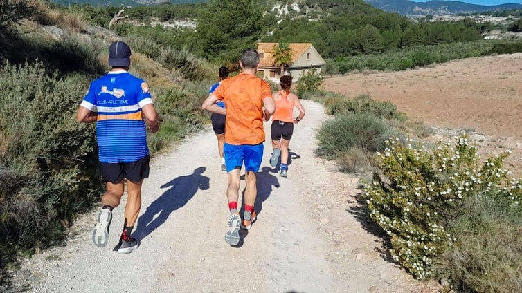 Vecinos recurren al Supremo contra el Gobierno por autorizar una macroplanta solar en un valle de bosques en Alicante