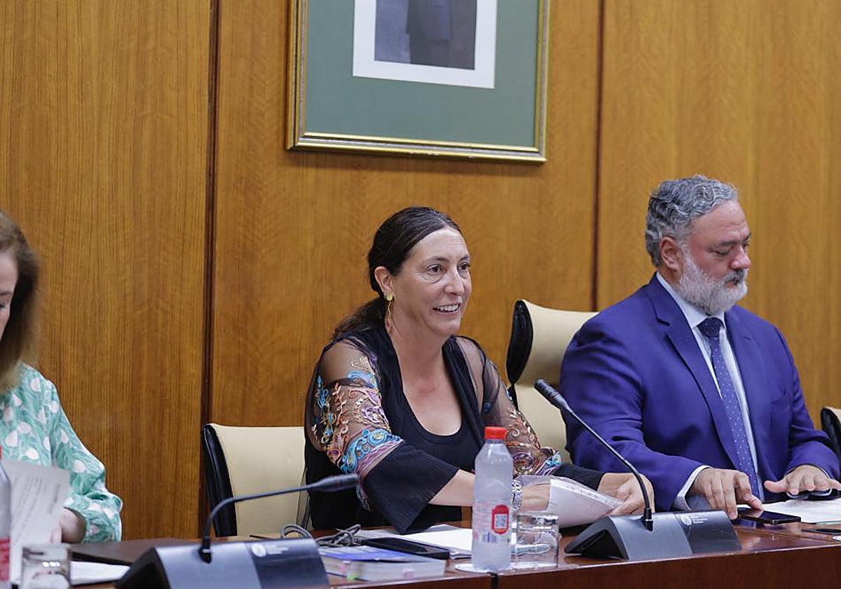Loles López, durante una comisión parlamentaria