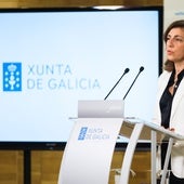 La cuestión prejudicial sobre los eólicos no es «un problema gallego»: podría afectar al resto de España y países como Holanda y Portugal