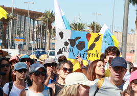 Los convocantes de las manifestaciones contra el modelo turístico volverán a movilizarse en Canarias