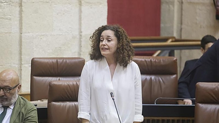 La portavoz de Por Andalucía, Inma Nieto