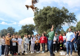 El Gobierno regional libera en Oropesa a cinco aves rapaces recuperadas y criadas en el CERI de Sevilleja de la Jara