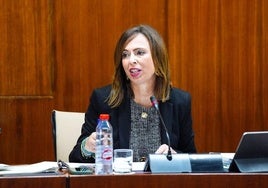 La Junta de Andalucía critica la «nula planificación» del Gobierno de Sánchez en materia de vivienda