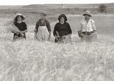 Imagen secundaria 1 - Arriba, imagen de un mercado del Estudio Mimosa, del Archivo Histórico Provincial de Ávila. Debajo, escena de siega en Rello, de Manuel Lafuente Caloto, y Madres ocultas, de Álvaro de Castro