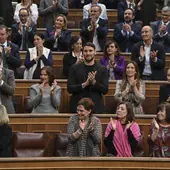 El Congreso da el primer paso para adaptar la ley de Seguridad a las exigencias de Bildu