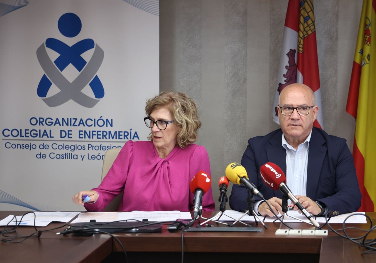 . La organización colegial de Enfermería de Castilla y León presenta el informe ''La situación de la profesión enfermera. Informe de Recursos Humanos. 2023''