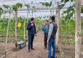 Alcalde de El Ejido: «El panorama es dantesco, esto va a llevar varios días»