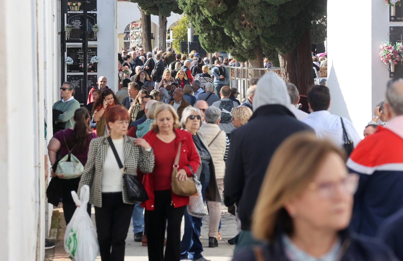 El eterno recuerdo a los difuntos en Córdoba el Día de Todos los Santos, en imágenes