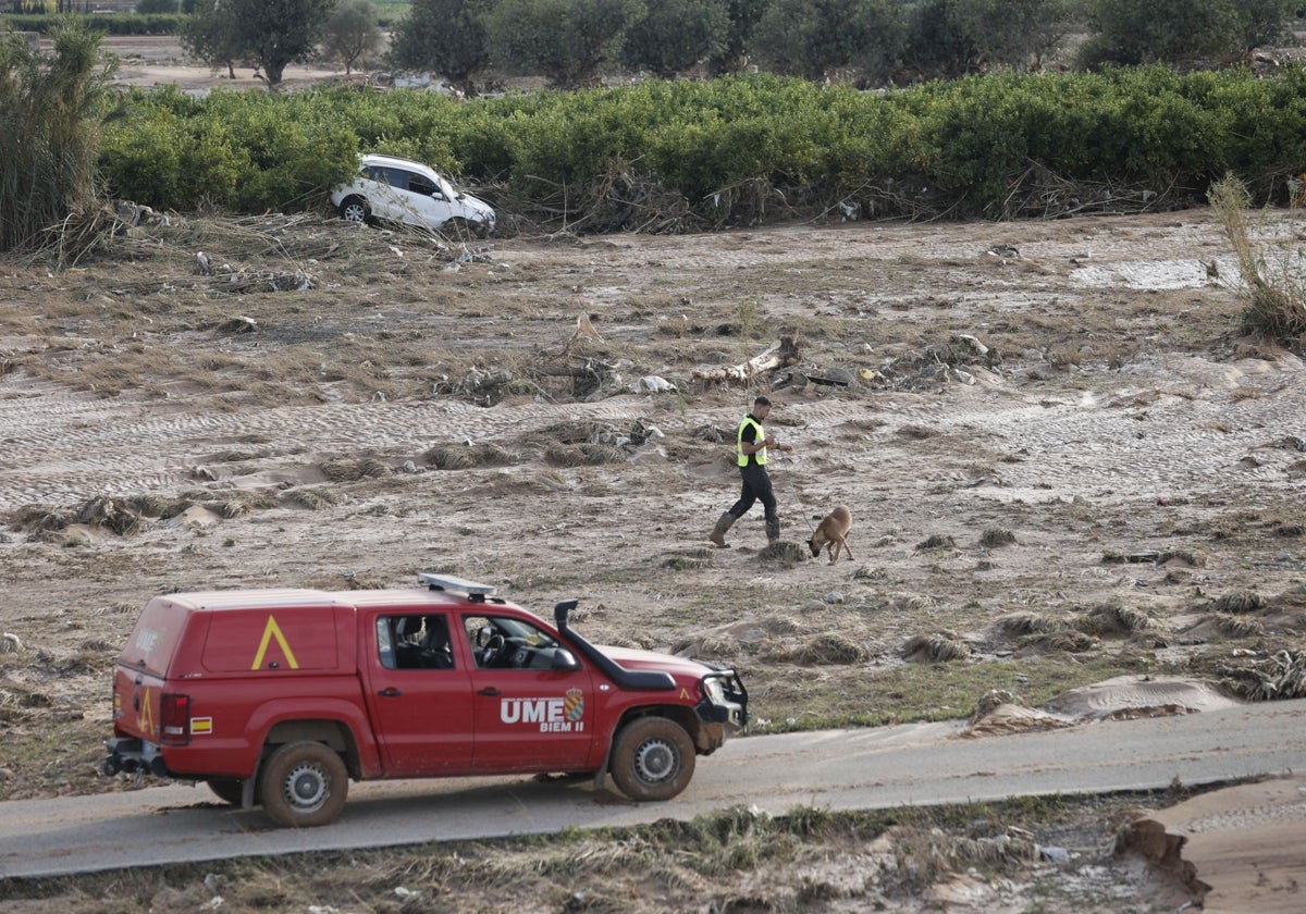 Imagen de las labores de rescate en una zona del barranco del Poyo, en Riba-Roja de Túria (Valencia)