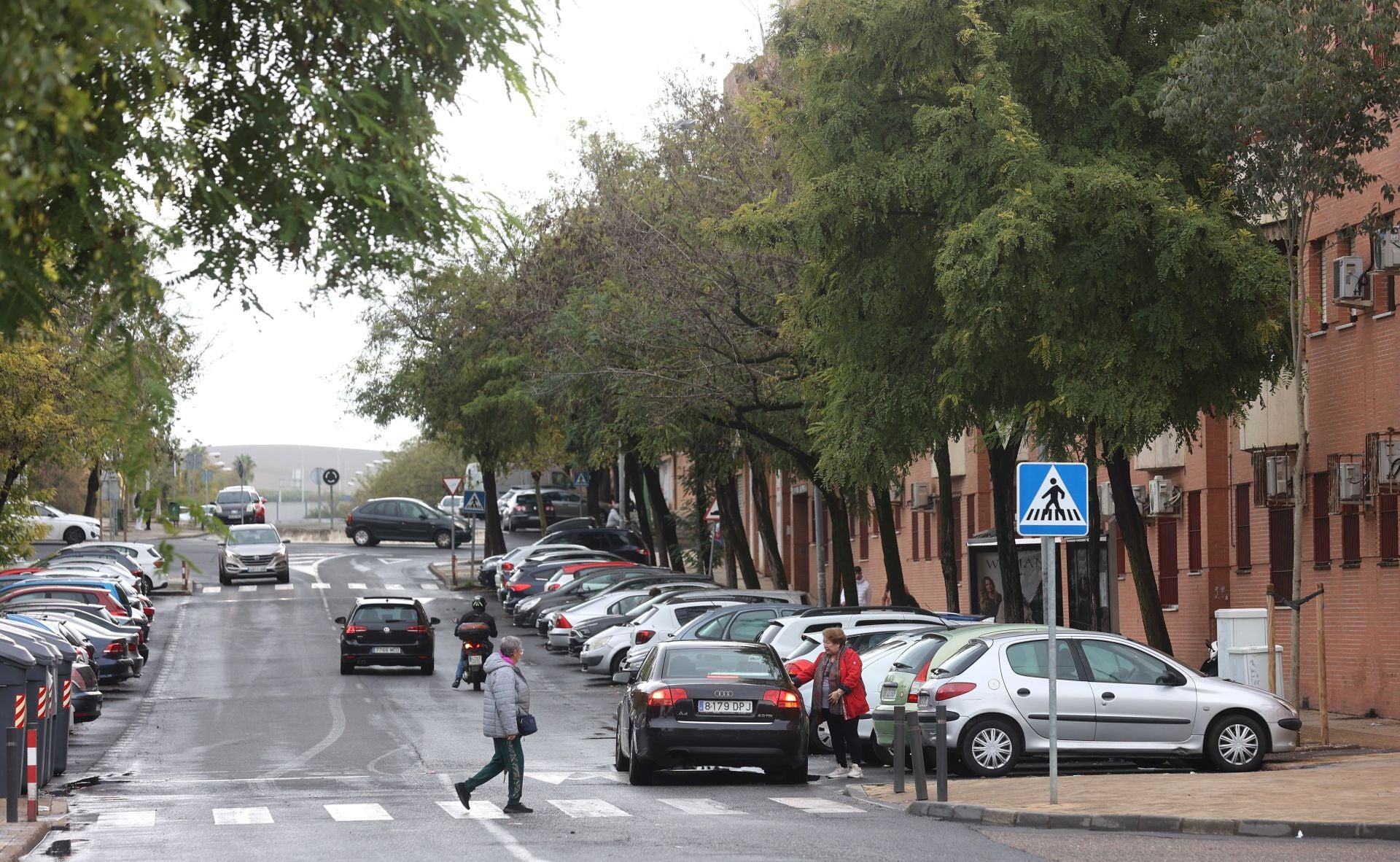 La vida en el Sector Sur y el Guadalquivir, dos de los barrios más pobres de España, en imágenes