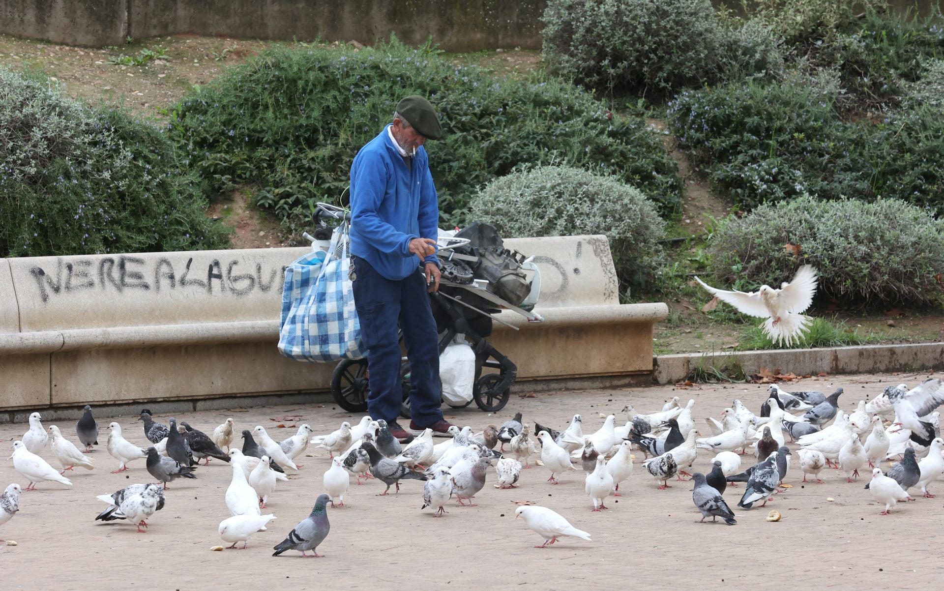 La vida en el Sector Sur y el Guadalquivir, dos de los barrios más pobres de España, en imágenes