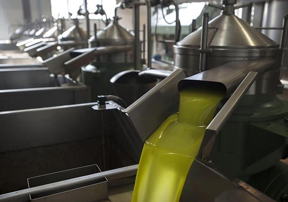 Imagen de una almazara