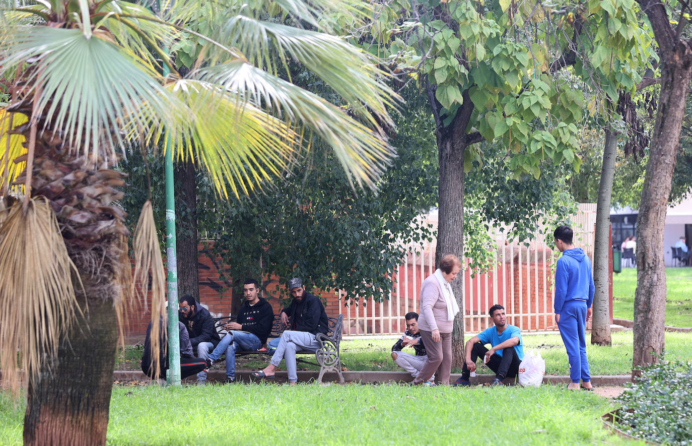 El deterioro del barrio de la Huerta de la Reina de Córdoba, en imágenes