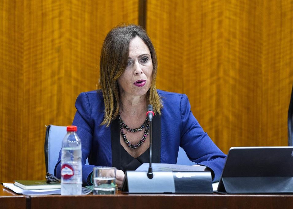 La consejera de Fomento, Rocío Díaz, este martes durante la comisión parlamentaria
