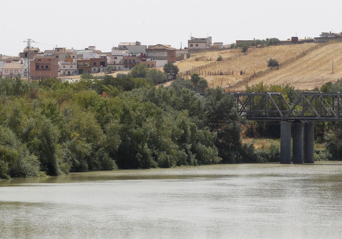 El Guadalquivir a su paso por Alcolea, donde hay zonas inundables