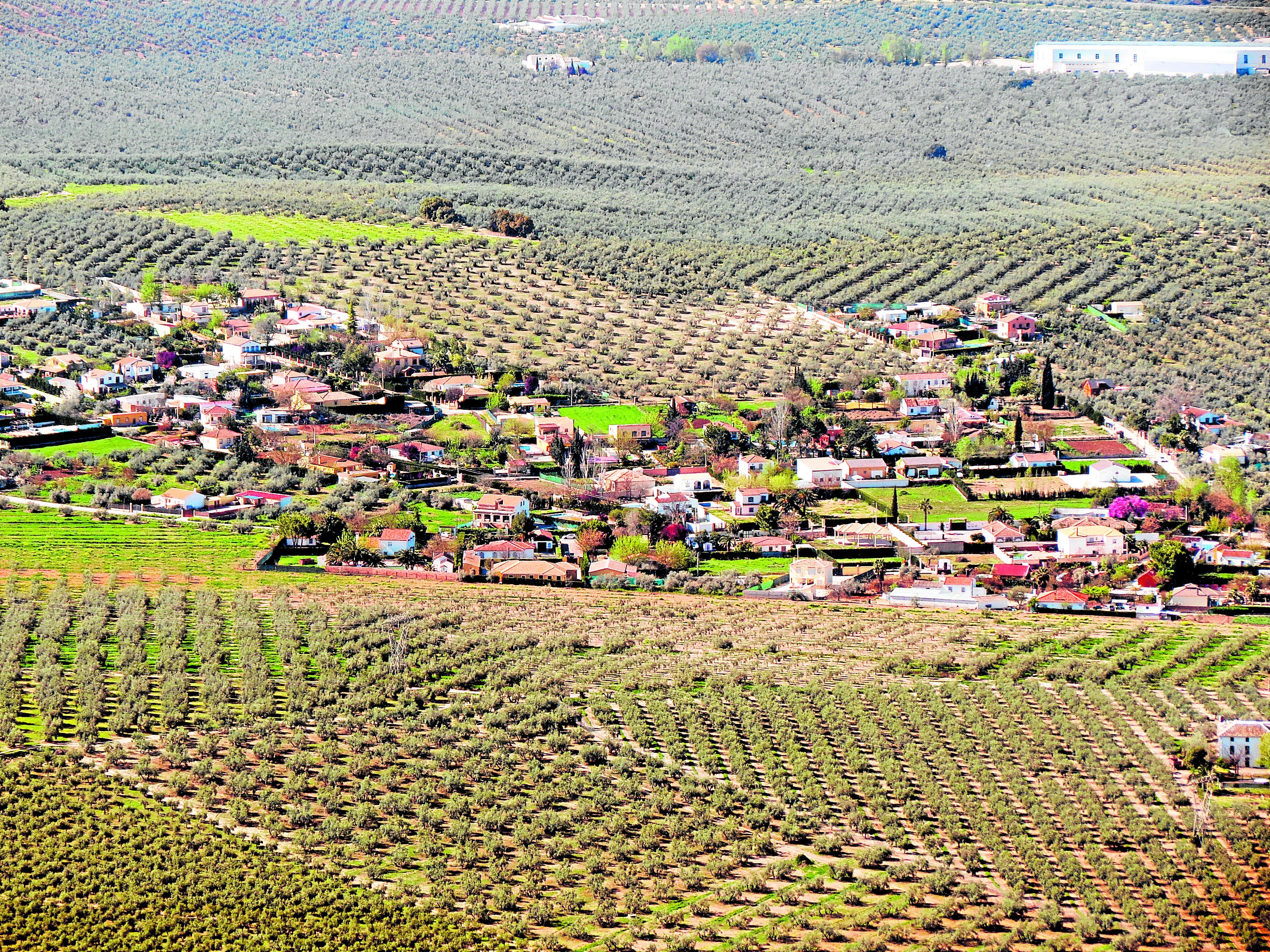 Vista de las viviendas de Campo de Aras