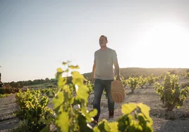 La DOP Jumilla presenta un adelanto de Diálogos de Arte & Vino: Jumilla