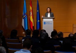 Medio Ambiente alerta que la parálisis de los eólicos puede extenderse a más regiones de España y Europa