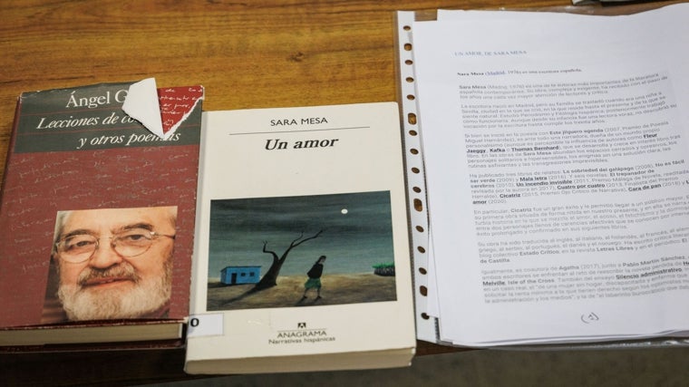 'Un amor', de Sara Mesa: la obra escogida para la actividad