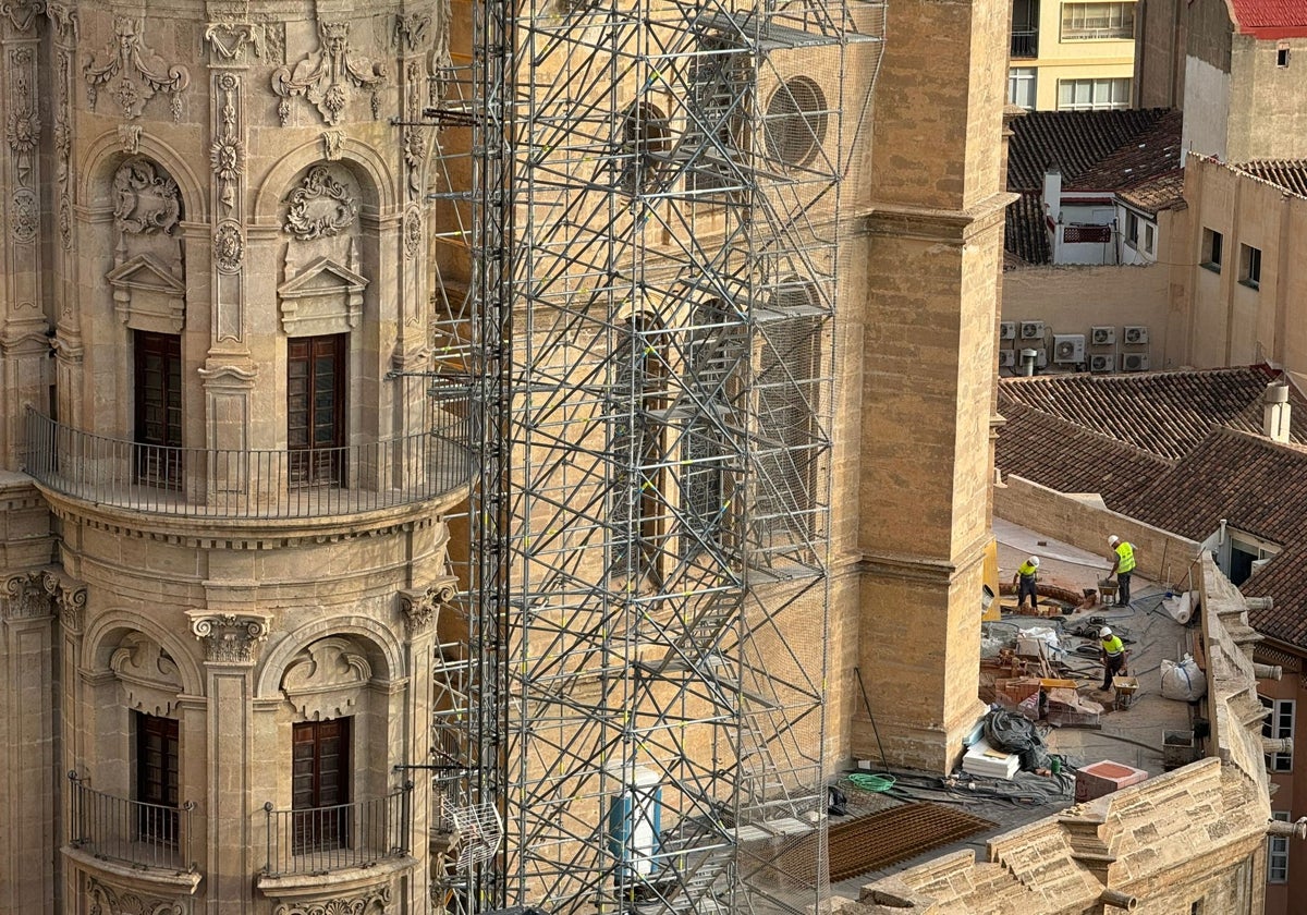 Unos obreros trabajan en las labores de restauración de la Catedral de Málaga