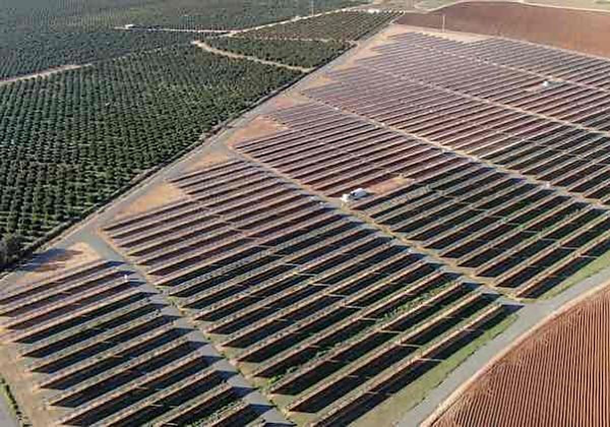 Cultivos en la provincia de Córdoba