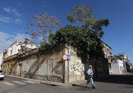 El deterioro del barrio de la Huerta de la Reina de Córdoba, en imágenes