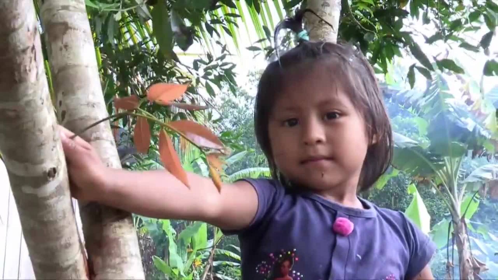 ¿Qué es y cuál es el objetivo de una Cumbre Iberoamericana?