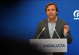 El PP culpa a la Ley estatal de la subida de precios de la vivienda en Andalucía tras las protestas en Sevilla, Málaga y Cádiz