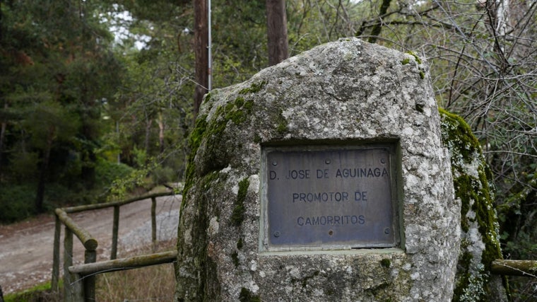 Colonia de Camorritos, en la sierra de Guadarrama