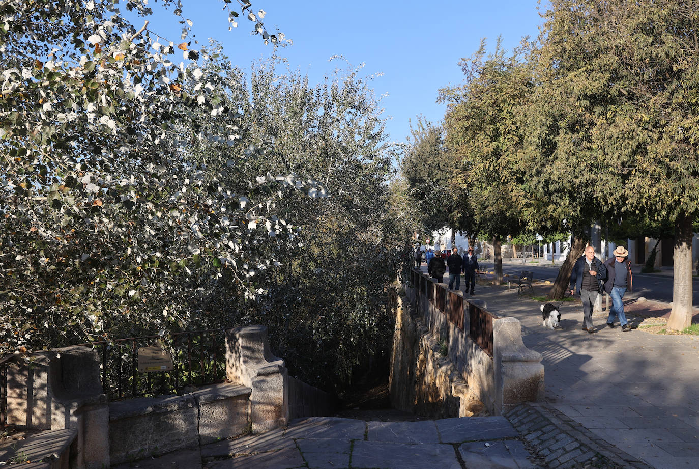 El descuido y la suciedad del Guadalquivir en Córdoba, en imágenes