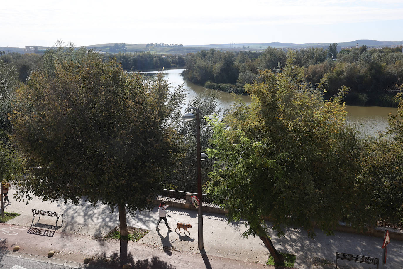 El descuido y la suciedad del Guadalquivir en Córdoba, en imágenes