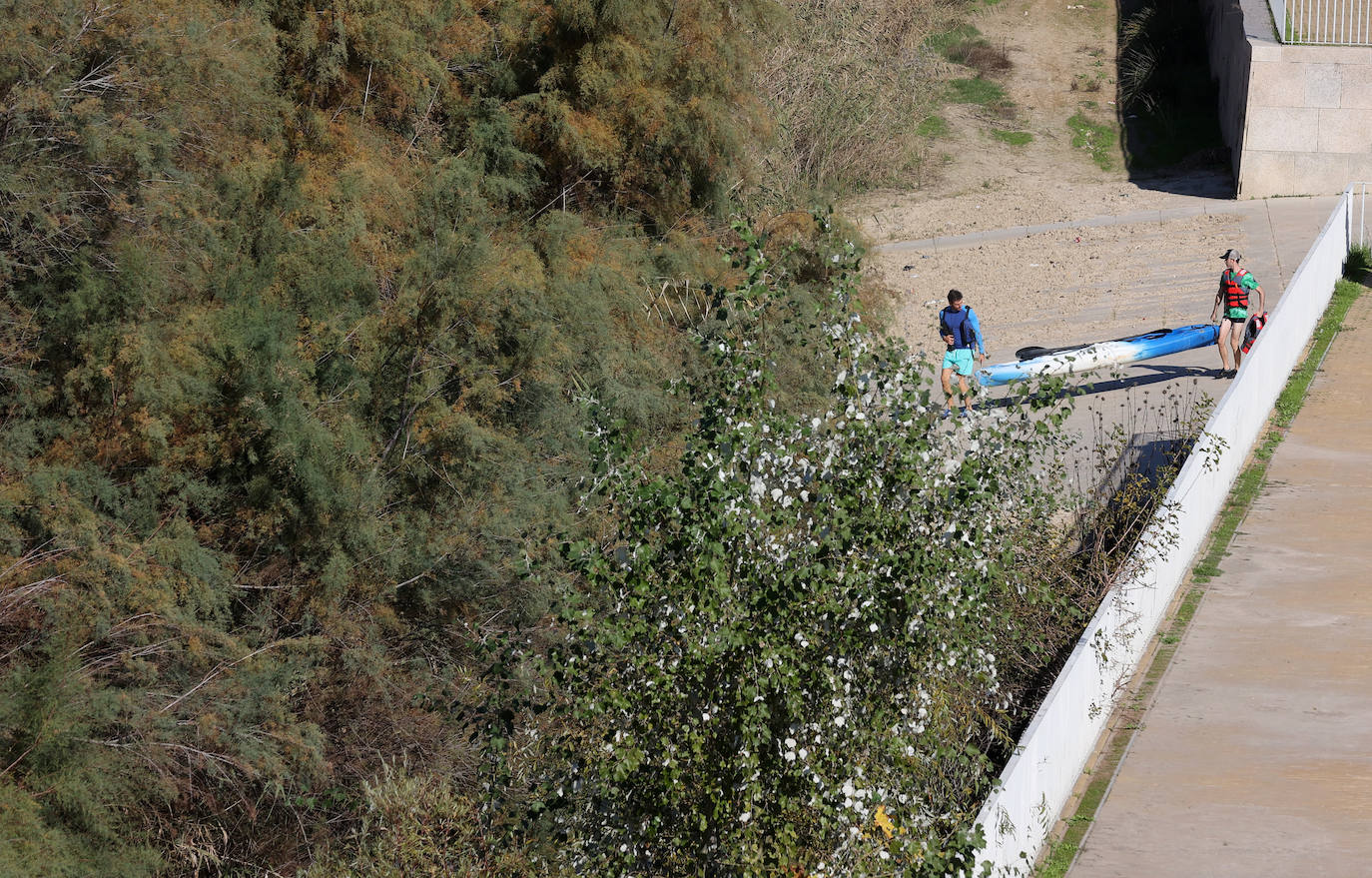 El descuido y la suciedad del Guadalquivir en Córdoba, en imágenes