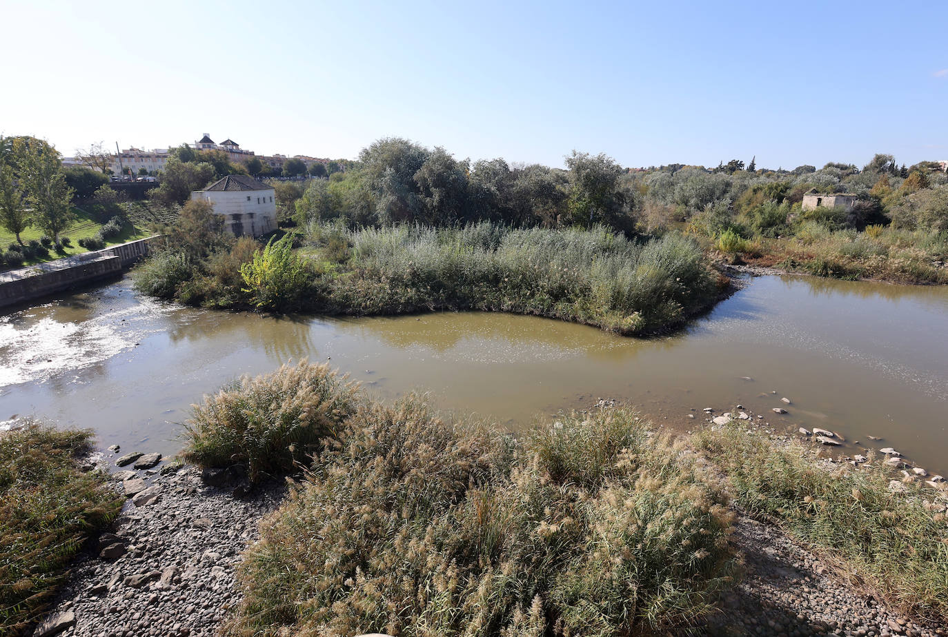 El descuido y la suciedad del Guadalquivir en Córdoba, en imágenes