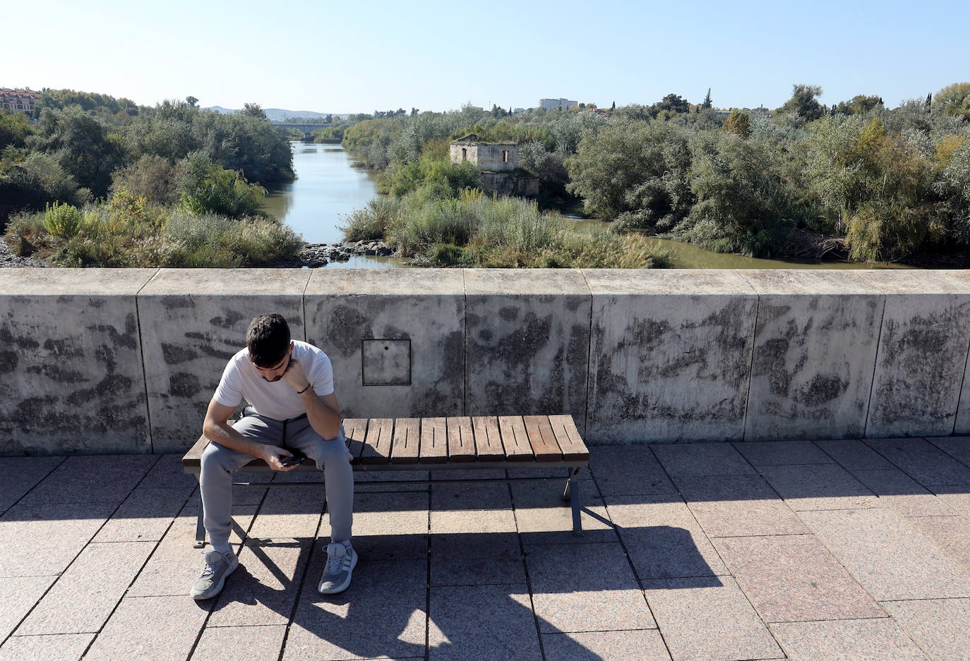 El descuido y la suciedad del Guadalquivir en Córdoba, en imágenes