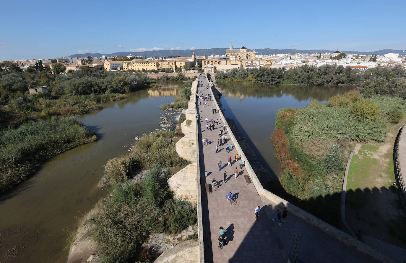 El descuido y la suciedad del Guadalquivir en Córdoba, en imágenes