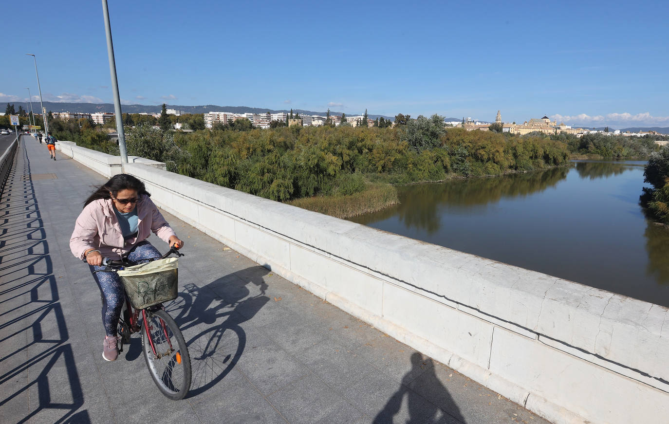 El descuido y la suciedad del Guadalquivir en Córdoba, en imágenes