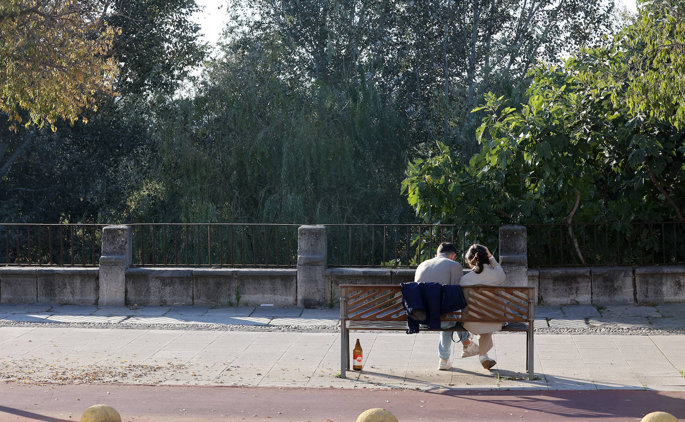 El descuido y la suciedad del Guadalquivir en Córdoba, en imágenes