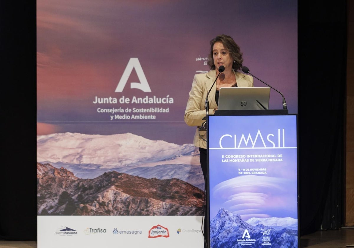 La consejera de Sostenibilidad y Medio Ambiente, Catalina García