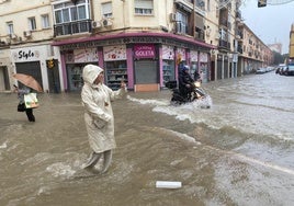 La DANA deja en Málaga una precipitación de 113,5 litros por metro cuadrado en las últimas 24 horas