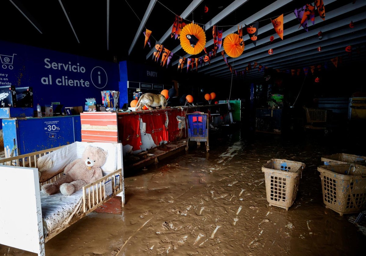 Un comercio afectado por las inundaciones causadas por la DANA en Sedaví (Valencia)