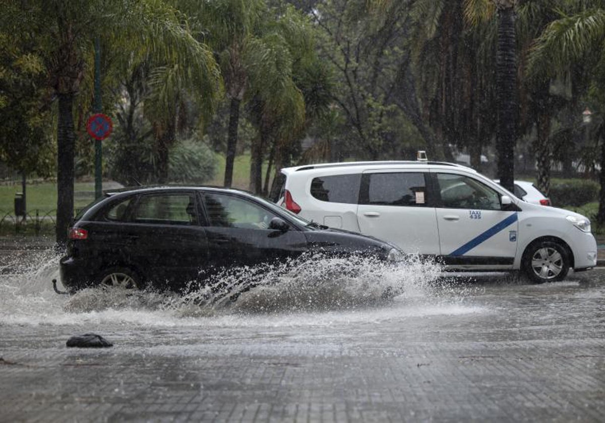 Coches sobre una balsa de agua