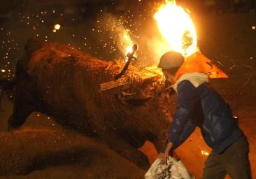 «Acabaron con el Toro de la Vega y ahora van a por Medinaceli»