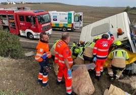 Accidente Córdoba: dos heridos, uno grave, tras volcar un camión en la N-331 en La Rambla