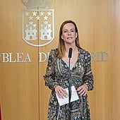 La sanidad pública de Madrid atendió a cien mil inmigrantes irregulares en 2023