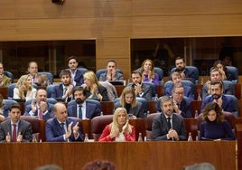 La Asamblea de Madrid aprueba otras ocho bajadas de impuestos, para adquirir vivienda y atraer inversión extranjera