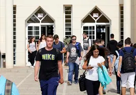 La UCO es la mejor universidad española en Agronomía y Veterinaria